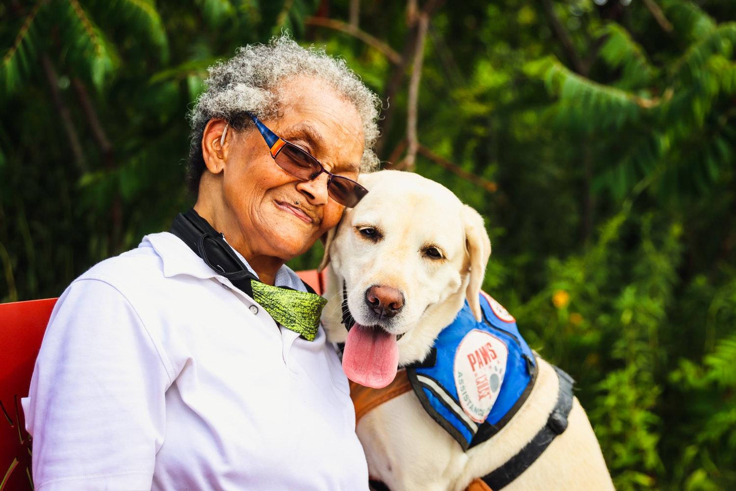 Adopting a Senior Dog - What You Should Know - Pawz